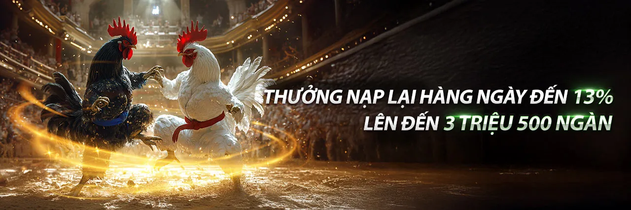 Hình ảnh đá gà trực tuyến Sabong67